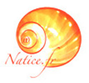 Cliquez pour plus d'informations