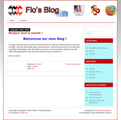 blog de florian taupier